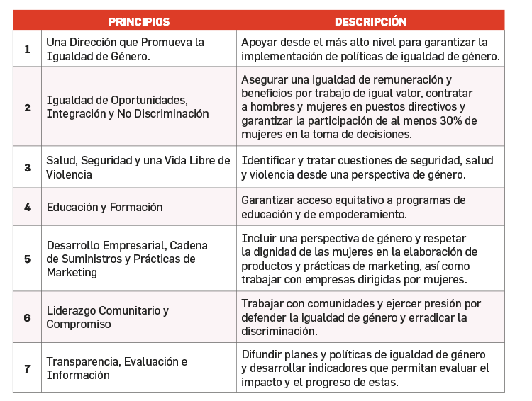 7 principios para el empoderamiento de las mujeres en las empresas ...